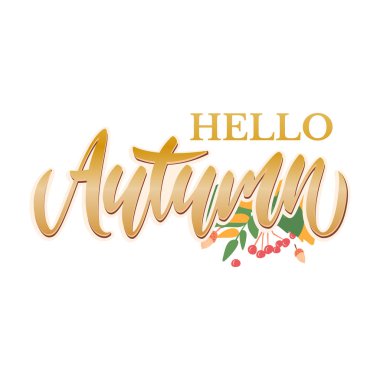 Farklı renkli sonbahar yaprakları arka plan.