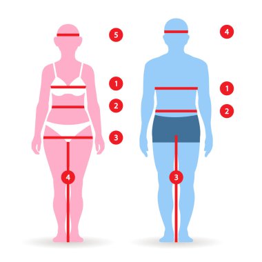 Vücut parametreleri erkek ve kadın tam uzunlukta