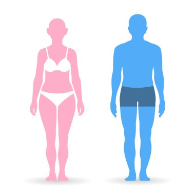 Vücut parametreleri erkek ve kadın tam uzunlukta