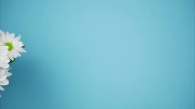 Elinde beyaz krizantem buketi, üstte. Hareketi durdur
