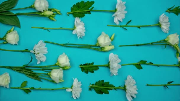 En serie vita blommor rör sig i en riktning. Stop motion — Stockvideo