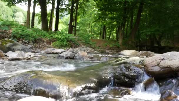 Górski strumień, jasna woda myje kamień — Wideo stockowe