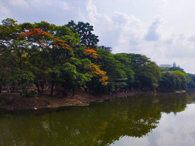 Bulutların ve ağaçların net yansımalarıyla sakin bir gölet manzarası, doğal manzara ve tasarım için mükemmel..