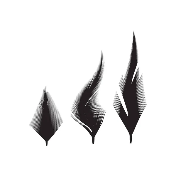 Oiseaux Plumes Collection Icônes Vectorielles Illustration Simple Panache Logo Isolé — Image vectorielle