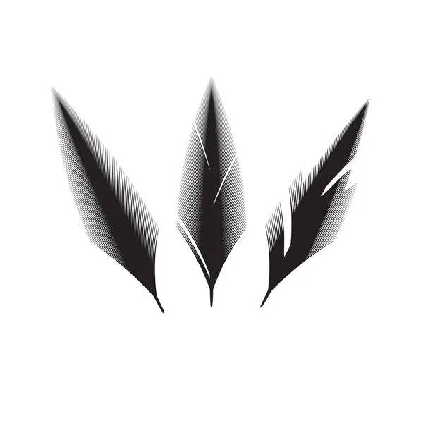 Vogels Veren Vector Icoon Collectie Eenvoudige Pluim Afbeelding Logo Geïsoleerd — Stockvector