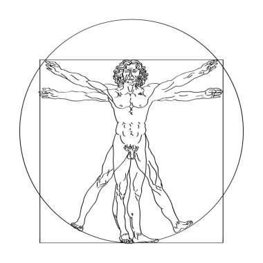 Vitruvius adamı veya Leonardo'nun adam stilize taslağını. Homo vitruviano vektör çizim üzerinde Leonardo da Vinci sanat dayalı