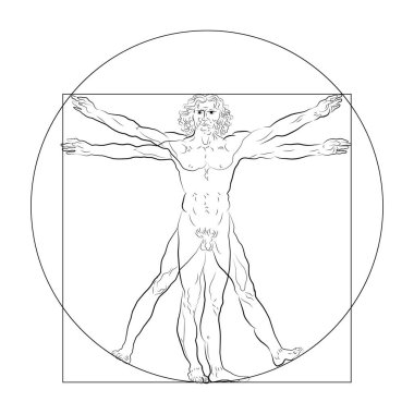 Vitruvius adamı veya Leonardo'nun adam stilize taslağını. Homo vitruviano vektör çizim üzerinde Leonardo da Vinci sanat dayalı