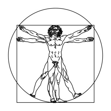 Vitruvius adamı veya Leonardo'nun adam stilize taslağını. Homo vitruviano vektör çizim üzerinde Leonardo da Vinci sanat dayalı