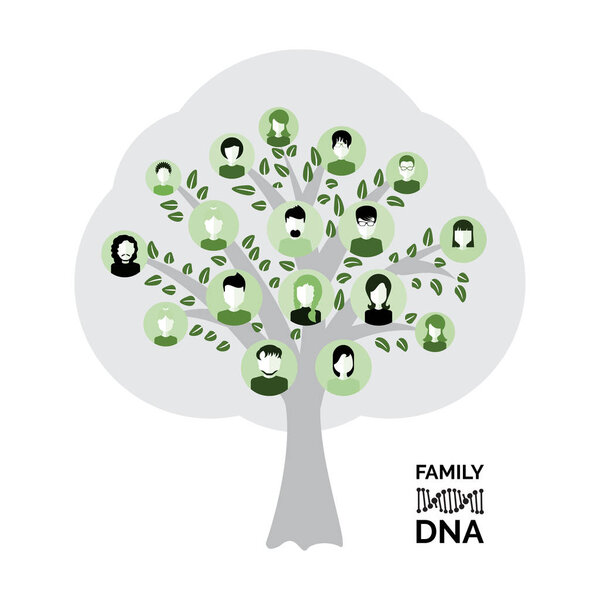 Genealogical family tree with avatars isolated on white background. Genealogy tree for dna ancestors illustration