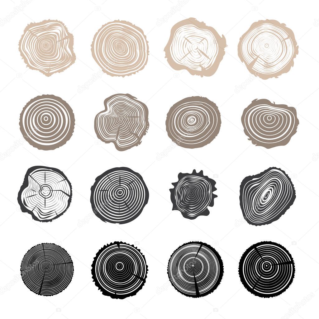 Tree Trunk Cut Icons, Cross Sections Symbols. Set of Stump Rings, Growth Ring Textured Vector Illustration