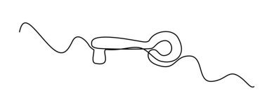 Bir satır anahtarı. Devamlı anahtar sözcük sembolü, sanat vektörü illüstrasyonunun kilidini aç, el çizimi minimal anahtar çizim simgesi, özellik erişim simgesi, giriş işareti