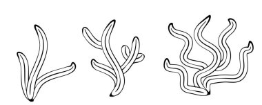 Yosun simgesi seti. Deniz yosunu, resif mercanı bitkileri, okyanus yosunu siyah organik siluetler, sualtı deseni, çizgi vektör çizimi