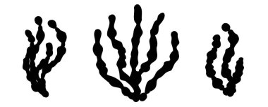 Yosun simgesi seti. Deniz yosunları, resif mercanları bitkiler, okyanus yosunu siyah organik siluetler, sualtı desenleri.