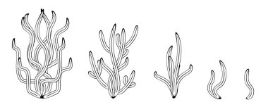 Yosun simgesi seti. Deniz yosunu, resif mercanı bitkileri, okyanus yosunu siyah organik siluetler, sualtı deseni, çizgi vektör çizimi