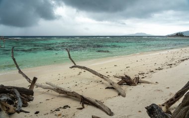 Seyşeller 'deki Praslin Adası' ndaki tropikal plajda sürüklenen dallar, turkuaz okyanus, kumlu sahil, dramatik fırtına bulutları ve vahşi doğal manzara yağmurdan önce huzurlu bir cenneti yakalıyor.