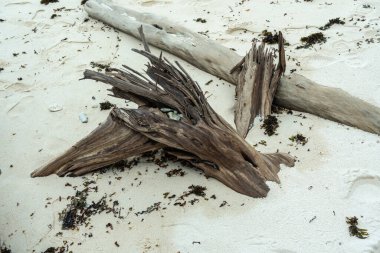 Seyşeller 'deki beyaz tropikal kumsalda, kırsal dokuları, vahşi doğal güzellikleri ve huzurlu kıyı manzaralarını, seyahat, doğa ve yaz temaları için ideallerini gösteren hava kabarcıkları üzerinde sürükleniyordu.
