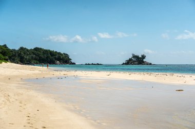 Wide shallow beach in southern Mahe with distant tourists walking and piles of grass on white sand, typical Seychelles landscape