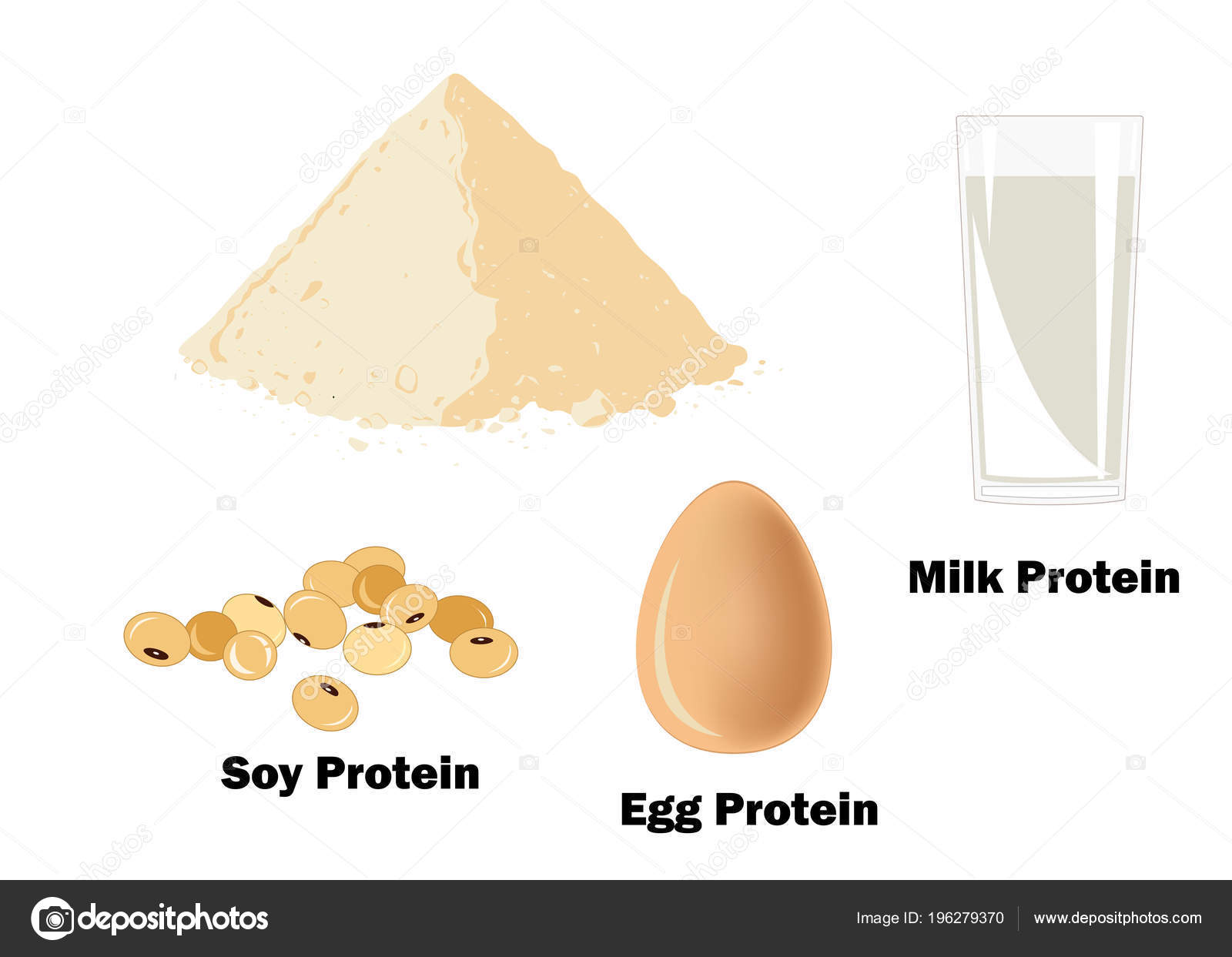 Main Sources Protein Bodybuilders Milk Casein Eggs Soy Protein Powder Stock Vector Image by