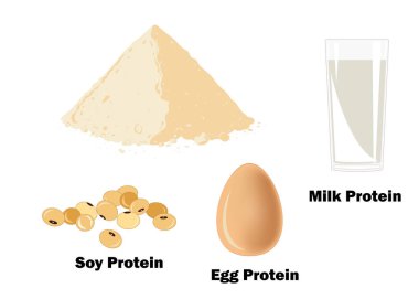 Protein vücut geliştiriciler için ana kaynakları. Süt veya kazein, yumurta ve soya protein tozu. Vektör çizim. Vücut geliştirme ek kavramı.