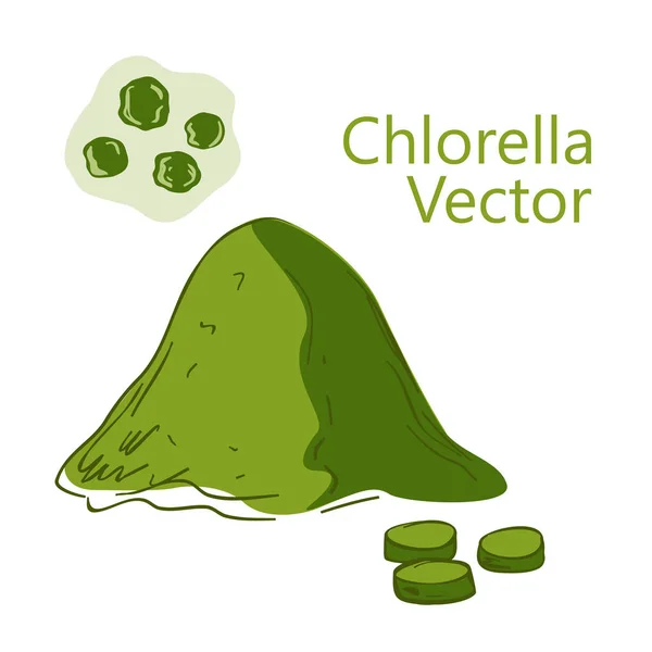 Superfood Chlorella Handgezeichnetem Stil Chlorella Pulver Tabletten Und Algenzellen Gesunde — Stockvektor