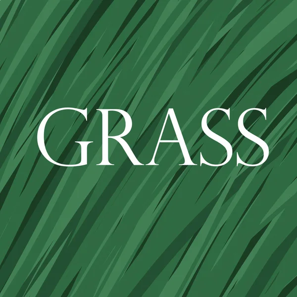 Vektorový Pozadí Trávy Abstraktní Grass Textury Květinové Léto Pozadí — Stockový vektor