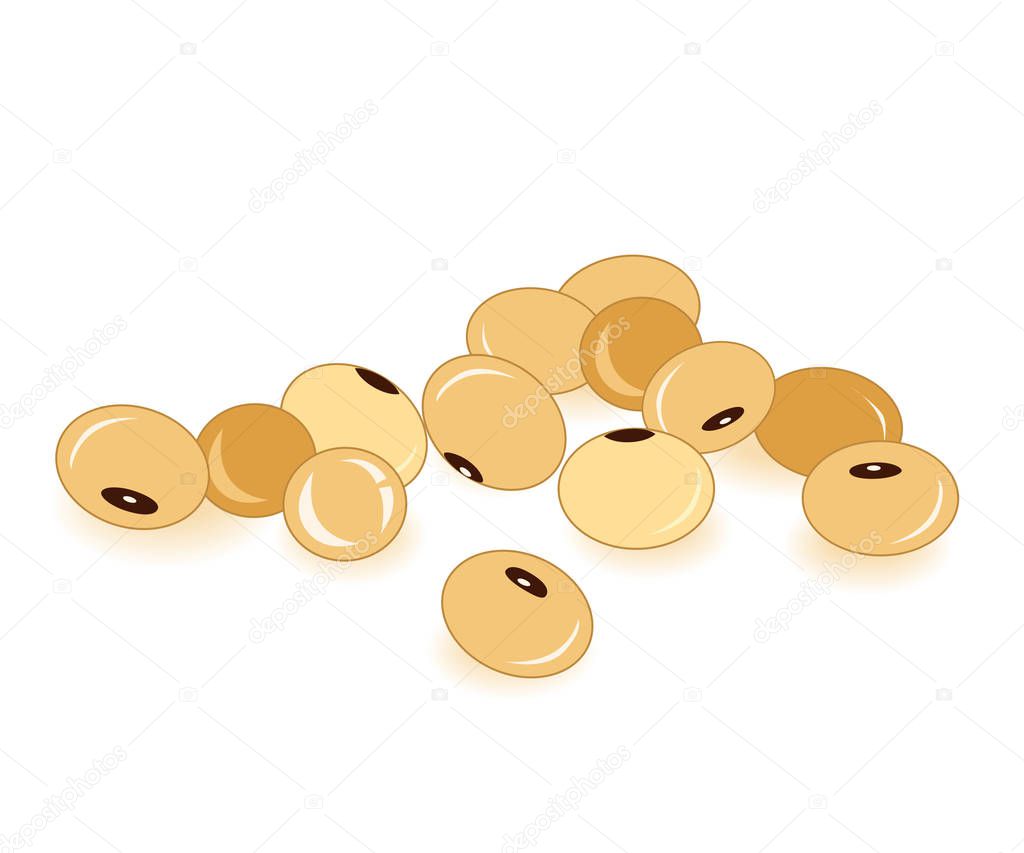 Soybean vector flat illustration. Organic and dryed legumes beans. Source for vegan milk and protein