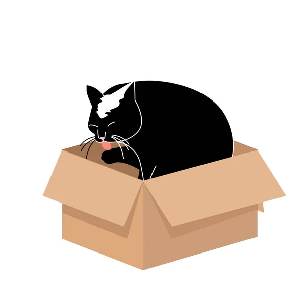 Mignon Big Cat Léchage d'une patte dans une petite boîte en carton. Illustration simple pour cartes ou impressions, icône vectorielle pour la conception web — Image vectorielle