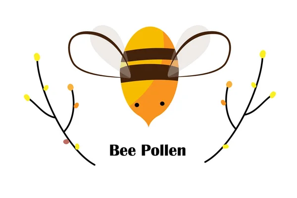 Schattige cartoon Bee, boomtakken, en bijenpollen korrels met ruimte voor tekst. Bijenteelt logo of Honey Packaging design. Vector — Stockvector