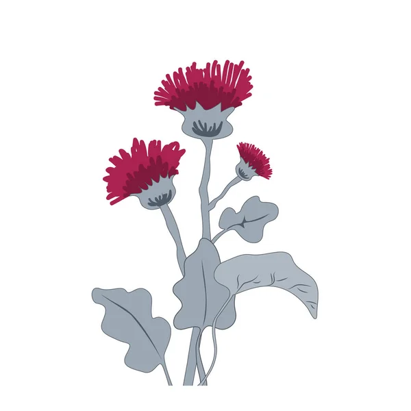 Thistle or burdock flowers. Cartoon thistle isolated on white, vector illustration
