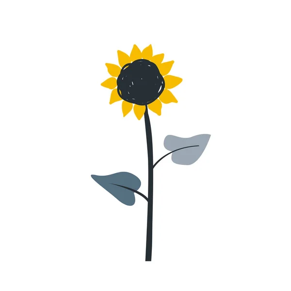 Reife Sonnenblumen Cartoon Skizze mit großer Blüte und Samen Skizze. isolierte Vektordarstellung auf schwarzem Hintergrund. — Stockvektor