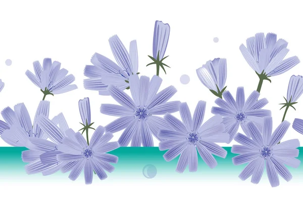 Chicorée Blumen Vektor nahtlose Muster. Design für Tapeten, Textil- oder Zichorienextrakt-Verpackungen — Stockvektor