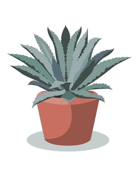 Blue Agave tanaman dalam pot bunga, vektor ilustrasi - Stok Vektor