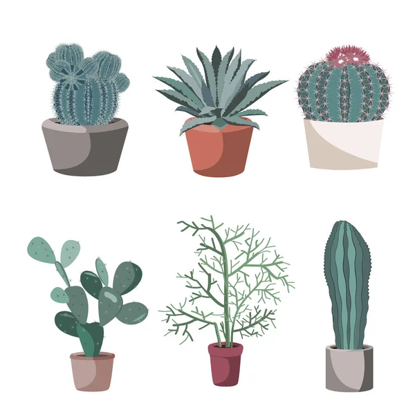 Succulents et cactus dans des pots de fleurs. Poire piquante, tirucalli, agave. Plantes en pot isolées sur un ensemble vectoriel plat blanc illustration — Image vectorielle