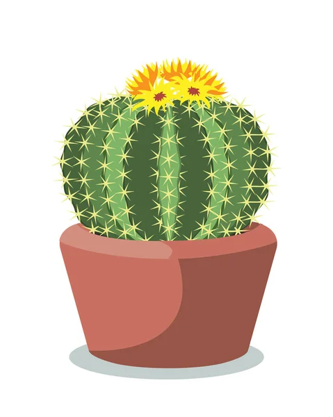 Duża kula kaktusowa w czerwonym ceramicznym garnku, dekoracyjna pustynna roślina zwana notocactus lub eriocactus. Ilustracja wektorowa izolowana na białym — Wektor stockowy