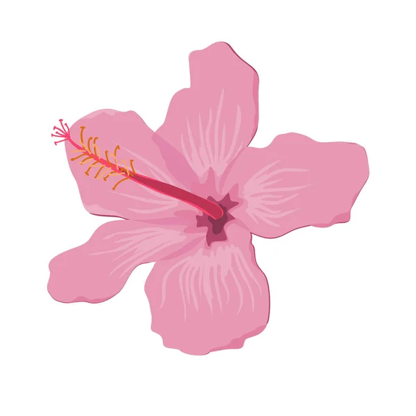 Hibiscus bloem platte vector. Tropische exotische Hawaï plant geïsoleerd — Stockvector