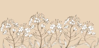 Klasik tarzda kusursuz çiçek desenli. Çiçekler, yapraklar ve bitkiler. Botanik çizimler.