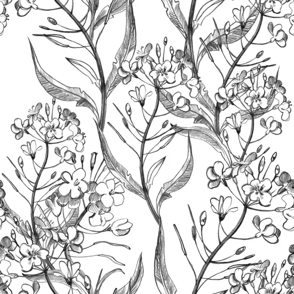 Seamless floral pattern in vintage style. Flowers, leaves and herbs. Botanical illustrations.