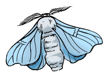 El çizimi çizimi kelebek ipeği. Tekstil, düğün, güzel bir geçmiş..