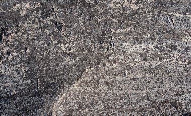 Soyut arkaplan, taş yüzey, taş dokusu, yosun, çatlaklar, yüzeyler