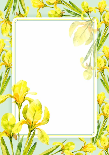 Sárga Virágok Íriszek Akvarell Illusztráció Nyári Virágok Szüret Levelek Zöldek — Stock Fotó
