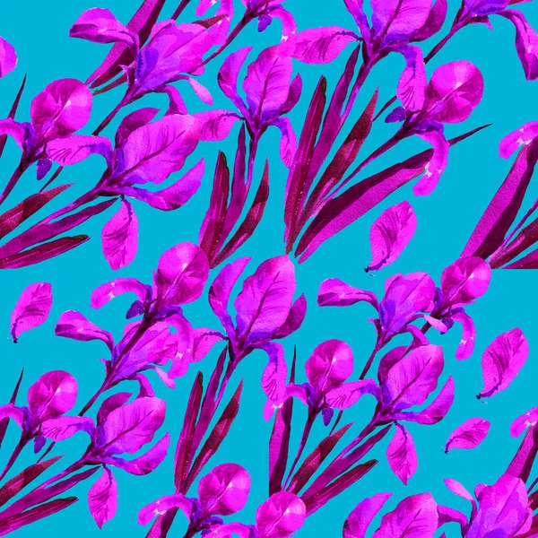 Fioletowe Kwiaty Tęczówki Ilustracja Akwarela Bezszwowy Wzór Letnie Kwiaty Vintage — Zdjęcie stockowe