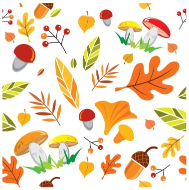 vektörsüz sonbahar deseni, yapraklar, böğürtlenler, beyaz arkaplanda mantarlar