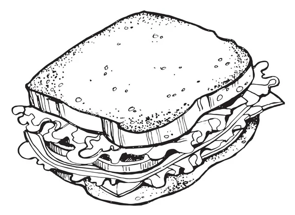 Dessin Main Illustration Art Nourriture Sandwich Pain Concombres Herbes Saucisse — Image vectorielle