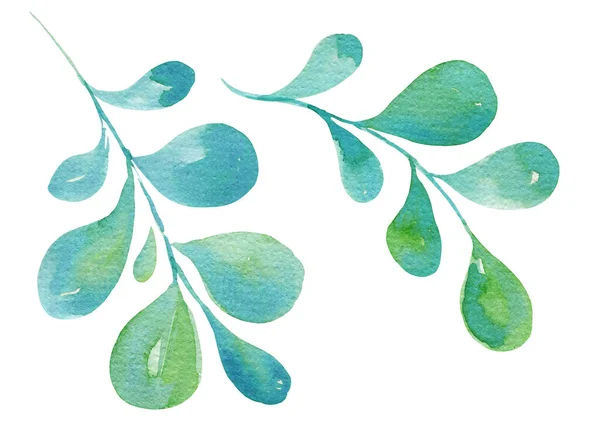 Mão Desenhar Folhas Aquarela Ilusório Esboço Cor Verde Cor Azul — Fotografia de Stock