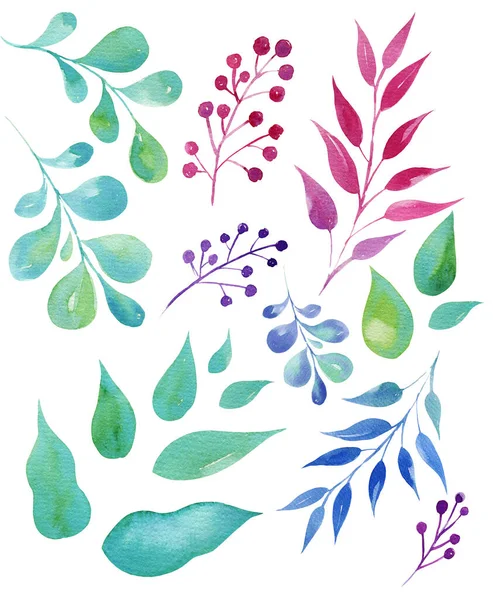 Set Hand Draw Watercolor Leaves Illusration Sketch Green Color Blue — Stock Photo, Image