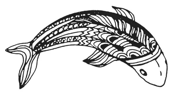 Fish Graphics Doodle Hand Draw Sketch Black White Illustration Line — Stock Photo, Image