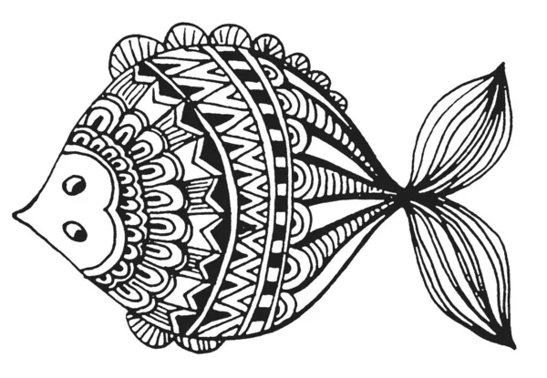 Fish Graphics Doodle Hand Draw Sketch Black White Illustration Line — Stock Photo, Image