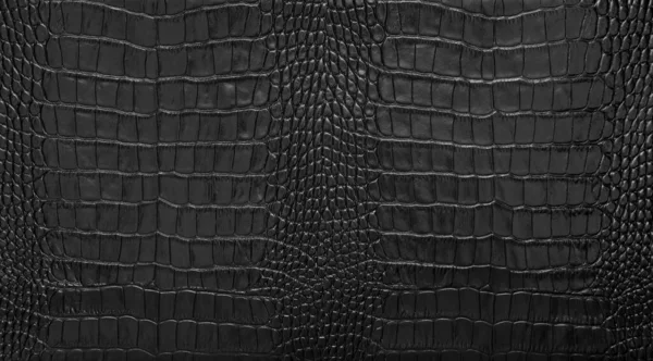 Přírodní Černá Krokodýlí Kůže Textura Pozadí Detailní Záběr Stock Fotografie