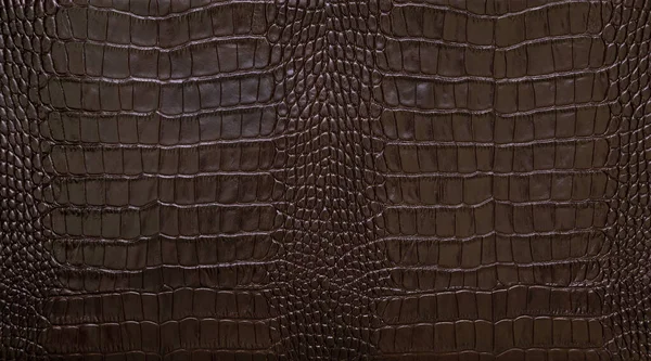Natuurlijke Donkerbruine Krokodillenhuid Textuur Achtergrond Close Stockfoto