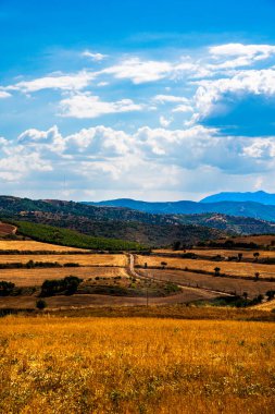 Arnavutluk 'un Pogradec kentindeki Luadhi Celos' un Altın Tarlaları ve Rolling Hills 'i. Parlak Gökler Altında Bir Kırsal Manzara